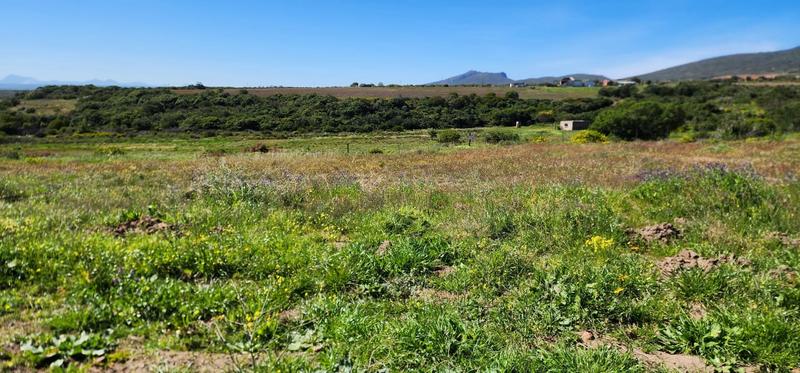 0 Bedroom Property for Sale in Albertinia Western Cape